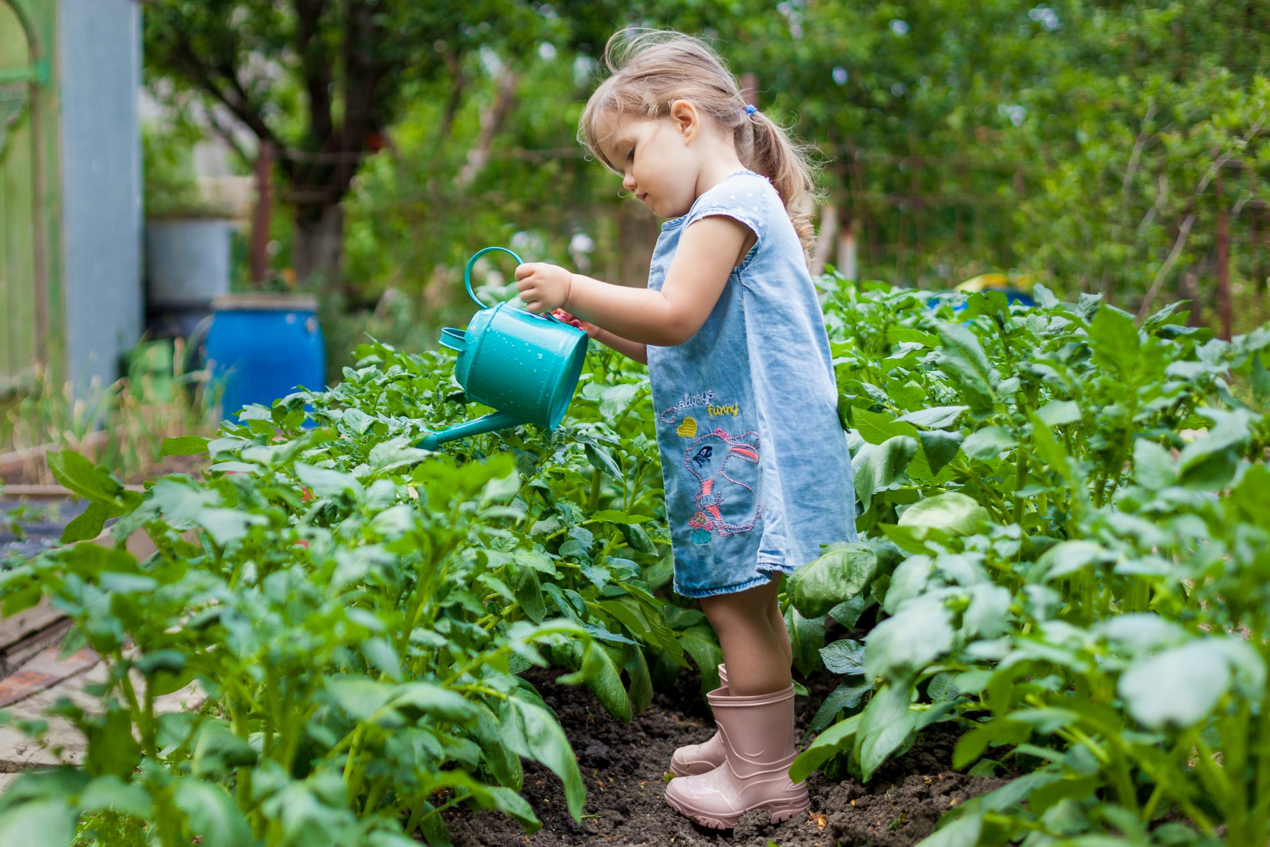 Actividades en Base Natural para Niños en Edad Preescolar - Jardinero